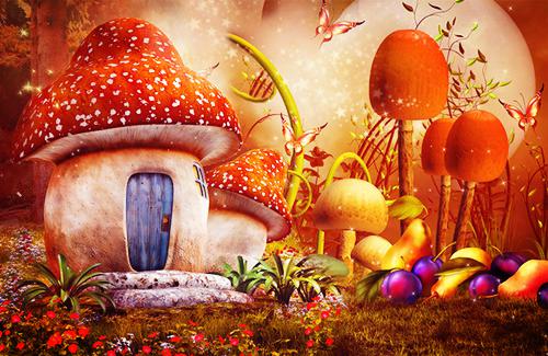 江夜棠萧凛小说 断鸿声里忆旧盟：番外在线阅读