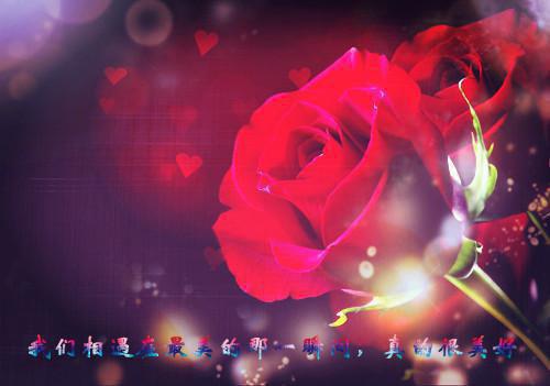 沈佳琪苏月明小说免费阅读全文 重生回闺蜜肚子里，我俩杀疯了小说全文免费