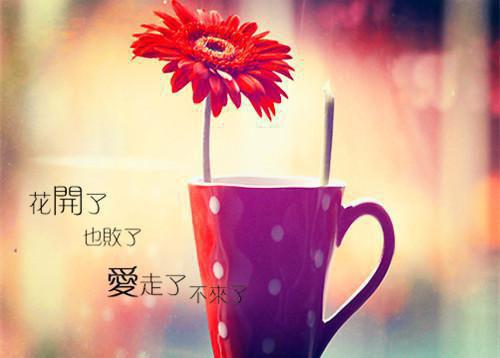 全本愁生天际,雨落时爱你(江栖霜金鹤卿)最新章节列表_全本愁生天际,雨落时爱你全文阅读