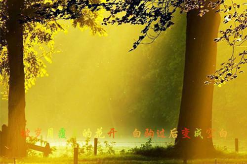 我弟弟小说笔趣阁最新章节 弟弟和隔壁老王小说正版阅读