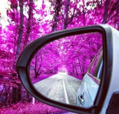 沈晓熙祁京寒许星诺陆知珩最新章节更新 爱坠落后，碎成满地谎言小说免费阅读全文最新章节