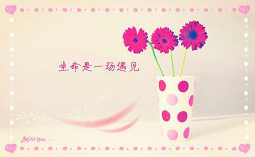 楚良玉苍玉于途什么关系 摆脱生子系统后她成了兽世主宰免费阅读小说