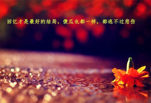 苏辰林清婉赵恒最新章节列表 不见他的月光原著在线阅读