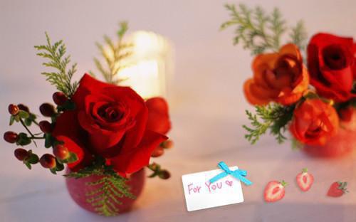 季衿语程栩衡最新章节更新状态 季衿语程栩衡在线阅读