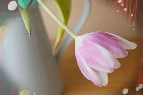 纪楚音秦墨景许茵免费阅读最新章节结局 普通朋友电子书