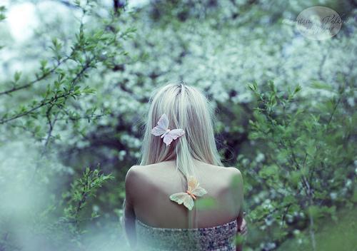 沈玉芙瑶音元彻最新章节更新 太子妃生存手册小说全文免费