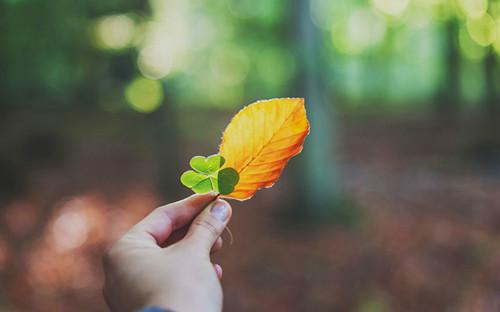 宋染染方哲笔趣阁免费阅读 刺心整顿结局