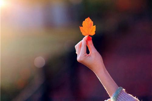 姜望舒池砚阮禾小说免费阅读 以新生为代号，赴一场未知（某生）免费阅读