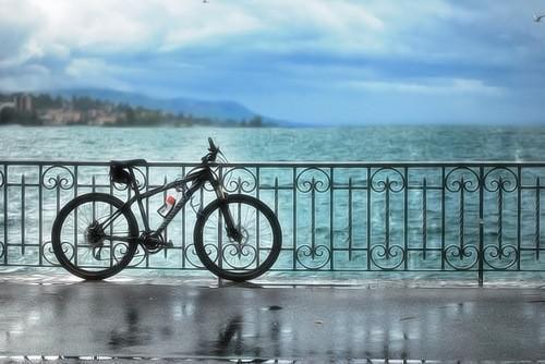 旧笺难拾,惘逐烟散小说(完整版)-陆沉屿江见玥裴凛章节阅读