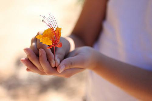 苏落蔷顾赫熹白小蝶顾清颜是哪部小说 蔷薇花落秋风止笔趣阁最新章节