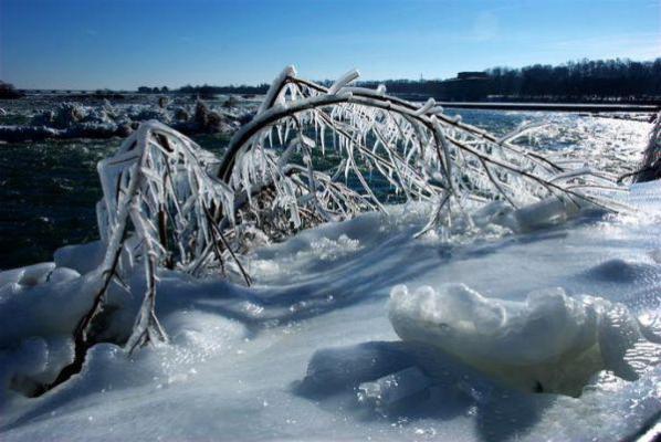 池骋吴所畏小说名 顺恨:那病弱的白月光全文最新更新内容