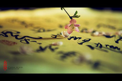 顾今屿陈易安姜明芷最新章节更新 重生后,我不再为毁掉百亿冻精的实习生兜底小说最新章节列表