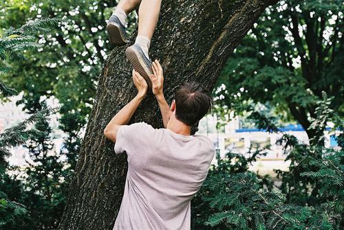 迟昼的最新章节更新时间 与十年后的我连线中：后续免费阅读全文