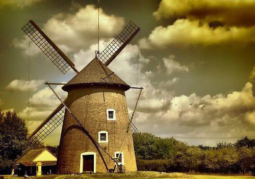 给感冒的青梅送药时,我突然看见了未来弹幕(云静林昭昭萧绥)最新章节_给感冒的青梅送药时,我突然看见了未来弹幕全文阅读