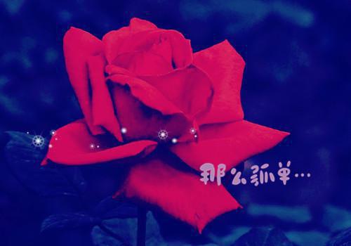 林璟年许念初的最新章节小说 许念初林璟年笔趣阁最新章节列表