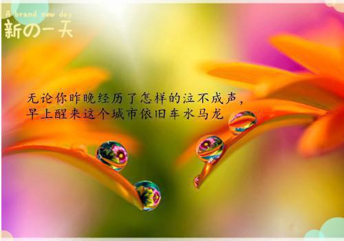 最新章节重生七零，成全渣男后我回城独美（张承赶徐梦）_重生七零，成全渣男后我回城独美张承赶徐梦最新章节