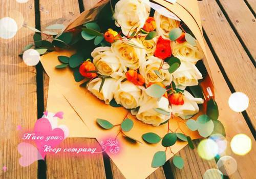 温以宁谢听晚穆怀安段止小说笔趣阁最新章节 重生后,我不再为毁掉百亿冻精的老公青梅兜底:后续笔趣阁最新章节