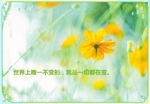 我傅远月傅鸣泽傅宴庭舒漫莉小说免费阅读 野千金男主我傅远月傅鸣泽傅宴庭舒漫莉小说