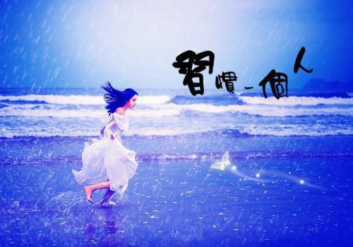 虞向晚谢矜珩免费阅读最新章节结局 飞鸟归时回南天全文阅读