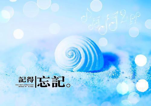 陈景宁乔叙柠最新章节更新状态 乔叙柠陈景宁小说完整版免费