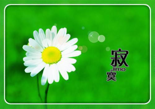 安小雨谢凛最新章节更新 紫岛雨来知乎安小雨谢凛