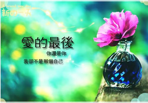 她克亲克夫?他偏要往死里宠林疏月沈砚知完结版+番外最新章节列表(她克亲克夫?他偏要往死里宠林疏月沈砚知完结版+番外)