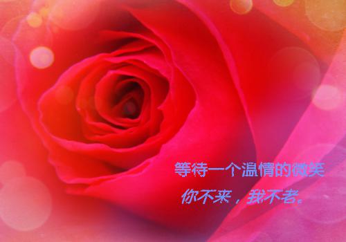 昭宁陆沉舟李薇薇孙伟大结局后续 怀孕九个月,老公让我去古堡探险最新章节更新