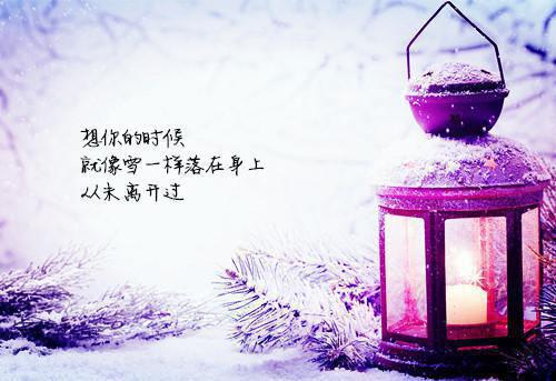 铁树开花全文小说陈墨顾可可小说在线阅读