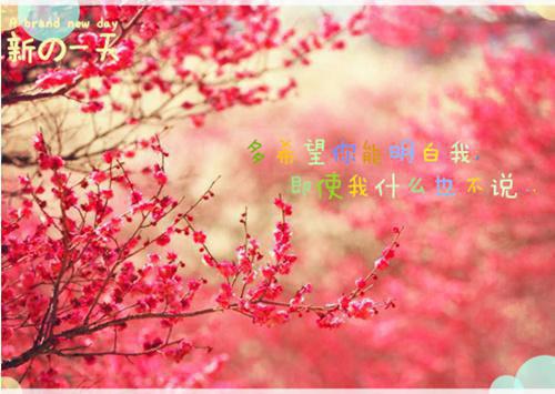 林默慕清寒小说结局 我都穿越了，当然要做最强大佬免费阅读小说