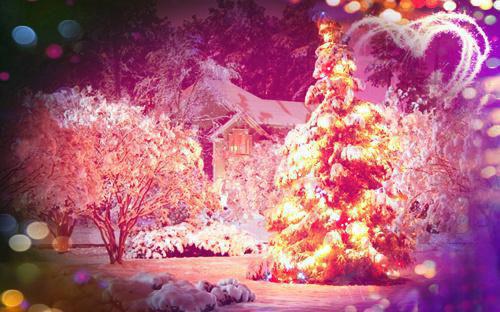 半夏月光宋半夏谢渊小说推荐完本_热门小说大全半夏月光(宋半夏谢渊)阅读