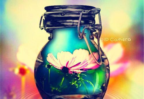 苏熙秦棠月笔趣阁免费阅读 我和绿茶室友共感了小说全文阅读