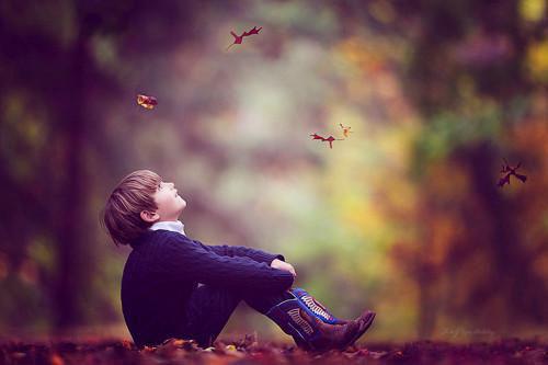 沈青砚谢书意谢晚音免费阅读最新章节 旧梦尘星不可寻知乎小说