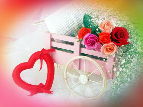 顾衍林晚小说叫什么名字 穿成虐文男主，不追妻后弹幕炸了（匿名）免费阅读