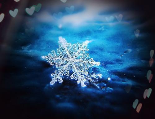 简泱陆见野的小说叫什么 简泱陆见野（佚名）免费阅读