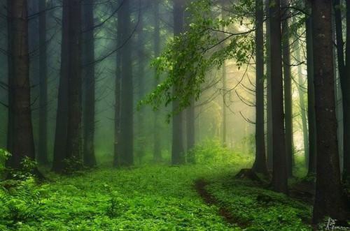 蒋羽安吴之瑶小说在线阅读 月亮记得她的背叛在线阅读