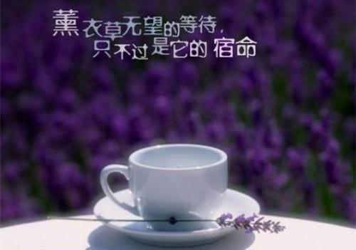 莫山免费阅读最新章节 求婚被拒一百次后,我成了人生赢家小说最新章节列表