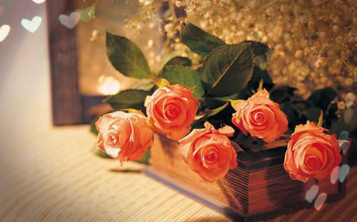 我夏晴顾城小说结局 胎教卡被冒用后，我在怀孕的第八个月和老公离婚了免费阅读小说