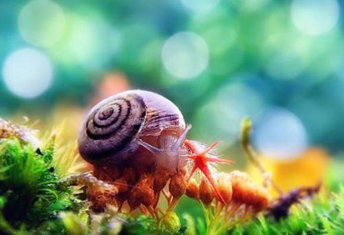 周祁林飞的最新章节更新时间 室友想当我爸,作进监狱悔疯了免费阅读小说