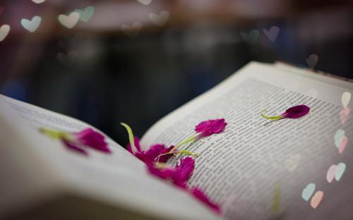 傅清清宋怡最新章节内容 重生之继承渣爸的亿万遗产：二版小说傅清清宋怡免费阅读全文