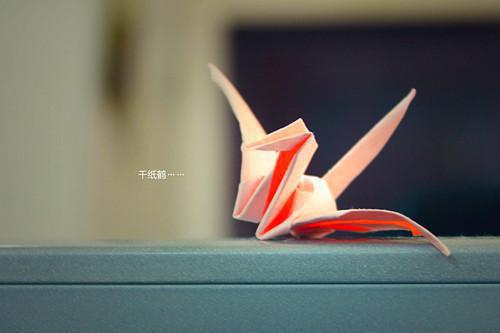 苗苗最新章节内容 南音面汤小说