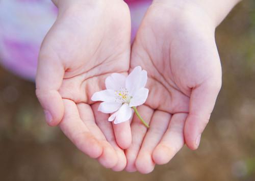 林微萧玄宁萧乐小说结局 明月解枷锁小说全文阅读