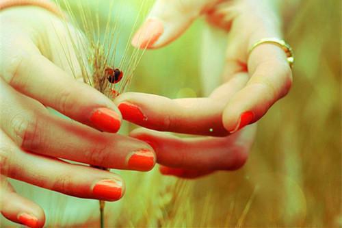 温以宁谢听晚穆怀安段止的最新章节小说 重生后,我不再为毁掉百亿冻精的老公青梅兜底:后续温以宁谢听晚穆怀安段止全文