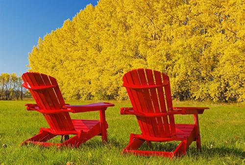 江菁最新章节更新时间 只因一碗丝瓜汤,我直接断亲电子书