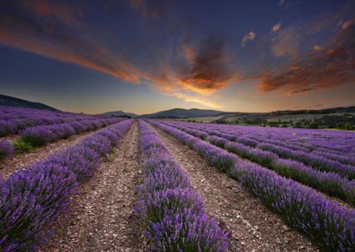 再鸦的小说我回来了,生产队的驴可以歇了王兴华林梦绮全文在线阅读
