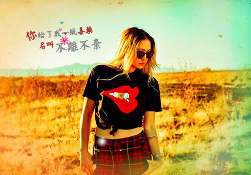 终随雁影各西东：后续+完结（程希倪安）终随雁影各西东：后续+完结全文在线阅读无弹窗结局_（程希倪安）程希倪安结局章节列表_笔趣阁（终随雁影各西东：后续+完结）