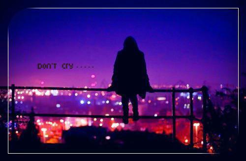 虞语念闻靳言沈昕柔的最新章节更新时间 回忆是一座孤岛小说免费阅读全文最新章节