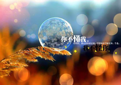 顾念北江成沈青柠的小说叫什么 未婚妻的男管家嫌我不够诚心，我直接退婚小说顾念北江成沈青柠免费阅读