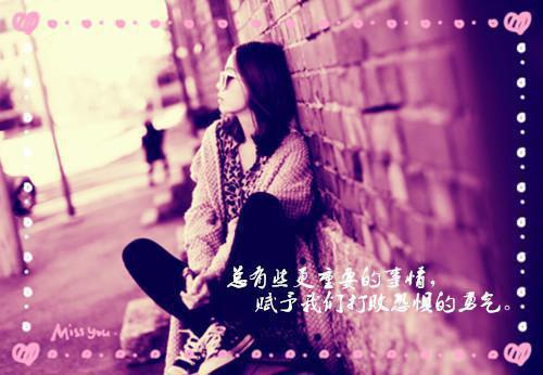 沈瑶赵安结局 黑红岚柏：后续笔趣阁最新章节列表