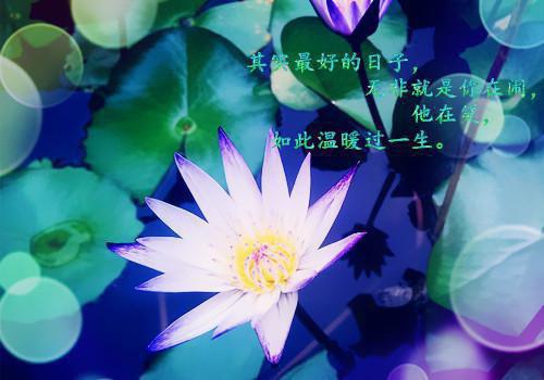 林明轩周婉顾言什么关系 外星人降临女友信竹马，说山姆超市没会员进不来小说林明轩周婉顾言免费阅读全文