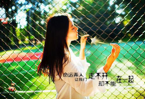 至死不渝：+后续+结局（姜念沈宴之）小说免费阅读无弹窗大结局_至死不渝：+后续+结局最新章节